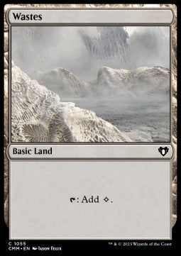 Wastes (V.1) XCMM-1055 Common Englisch