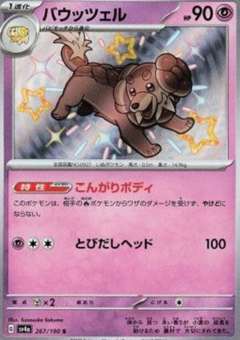 Dachsbun sv4a-267 Holo Rare Japanisch
