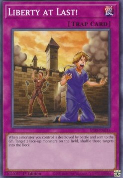 Liberty at Last! STAS-ENS035 Common Englisch