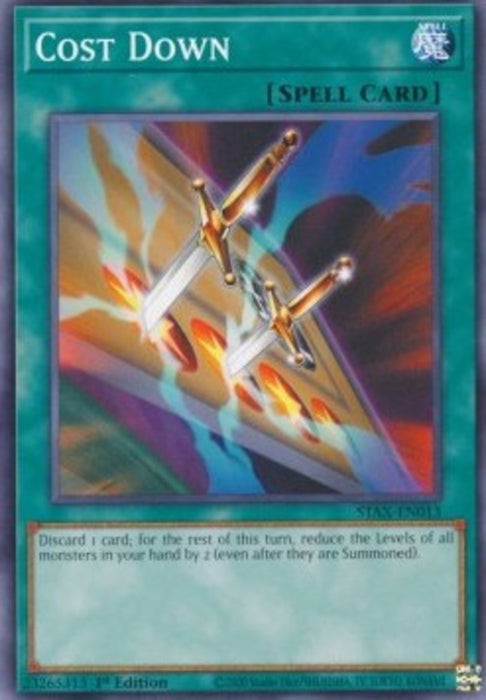 Cost Down STAS-ENX013 Common Englisch