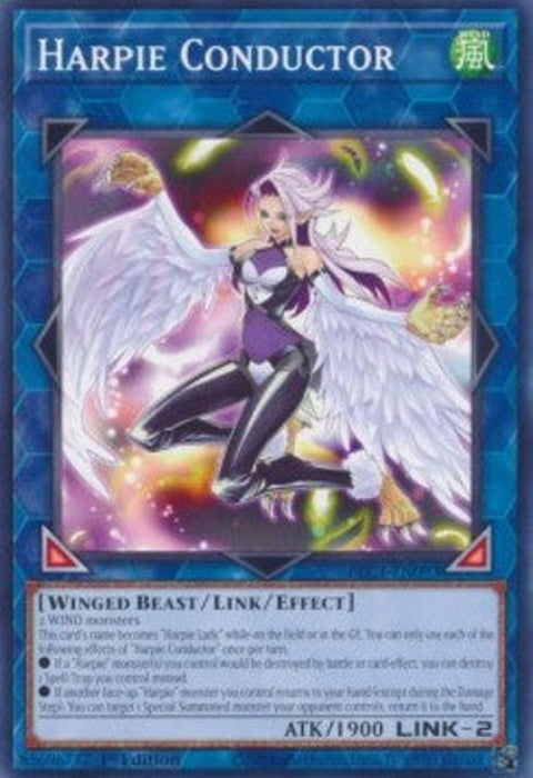 Harpie Conductor BLC1-EN093 Common Englisch
