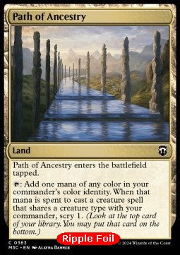 Path of Ancestry XM3C-363 Common Englisch