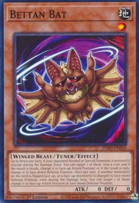 Bettan Bat INFO-EN030 Common Englisch