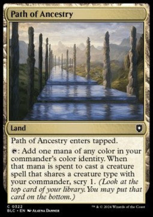 Path of Ancestry BLC-322 Common Englisch