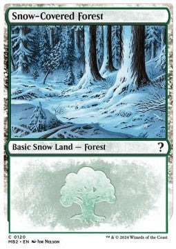 Snow-Covered Forest MB2-120 Land Englisch