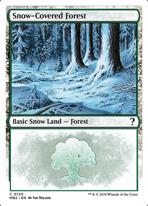Snow-Covered Forest MB2-120 Land Englisch
