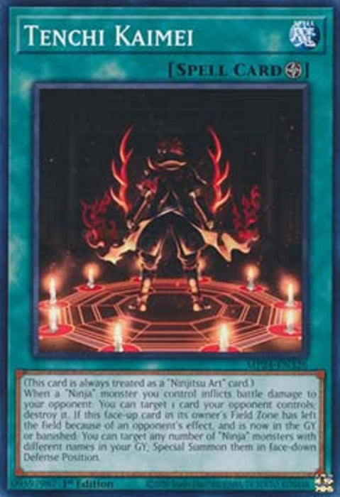 Tenchi Kaimei MP24-EN326 Common Englisch