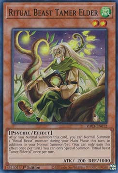 Ritual Beast Tamer Elder (V.1) RA03-EN012 Super Rare Englisch