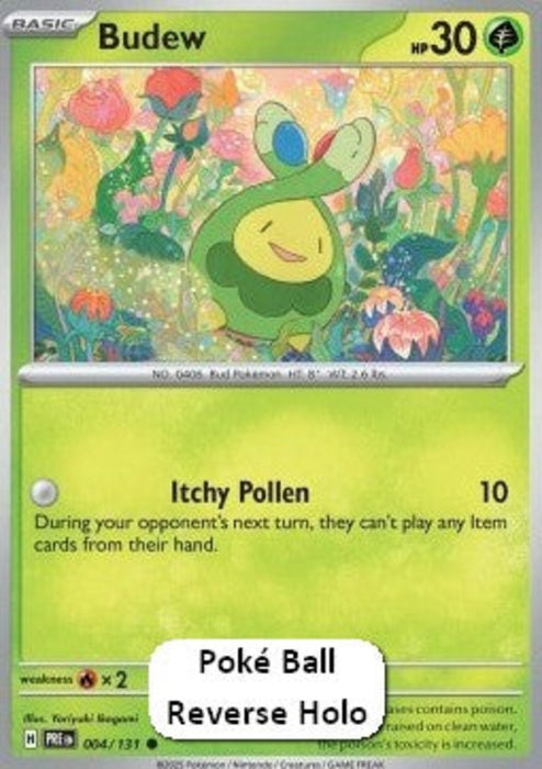 Budew xPRE-004 Common Englisch