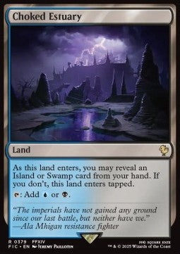 Choked Estuary FIC-379 Rare Französisch
