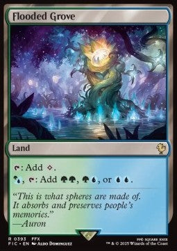 Flooded Grove FIC-393 Rare Französisch