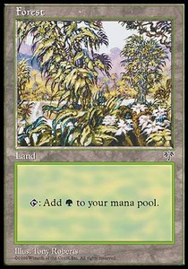 Forest (V.3) MIR- Land Englisch
