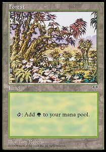 Forest (V.4) MIR- Land Englisch