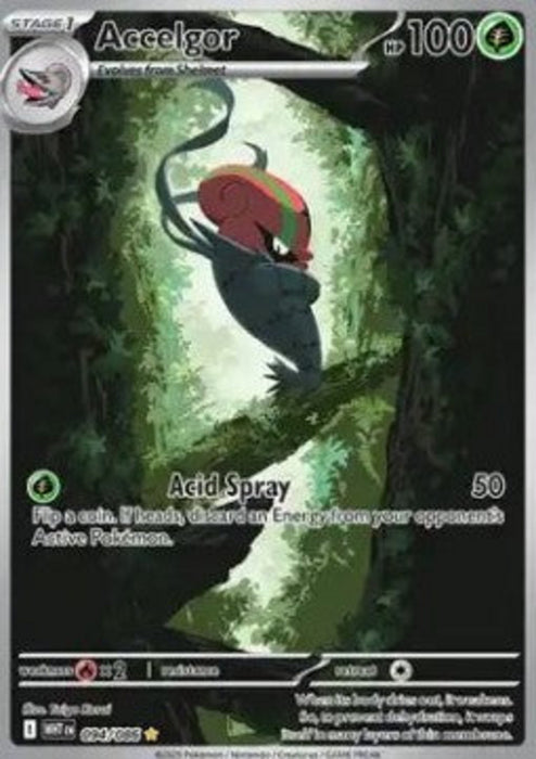 Accelgor WHT-094 Illustration Rare Englisch