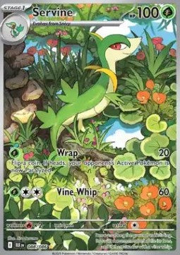 Servine BLK-088 Illustration Rare Englisch