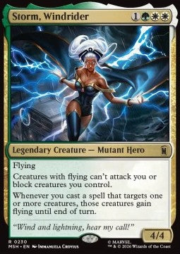 Storm, Windrider MSH-230 Rare Englisch