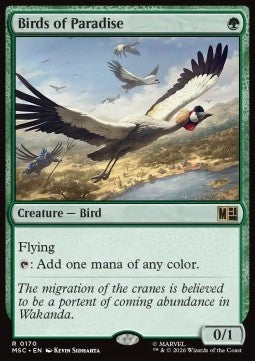 Paradiesvögel MSC-170 Rare Deutsch