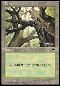 Forest (V.1) TP- Land Englisch