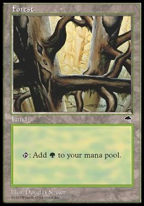 Forest (V.4) TP- Land Englisch