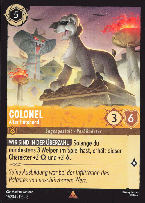 Colonel - Alter Hütehund 8JAF-017 Rare Deutsch