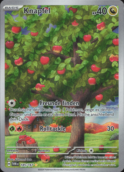 Knapfel TWM-185 Illustration Rare Deutsch