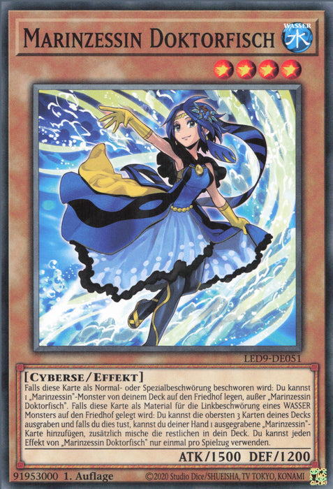 Marinzessin Doktorfisch LED9-DE051 Common