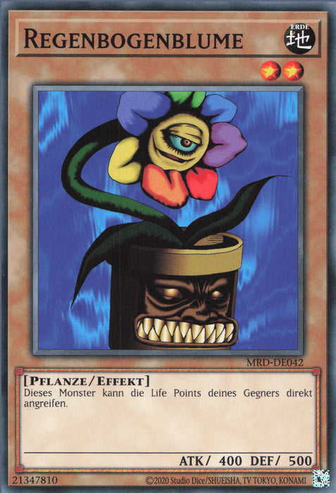 Regenbogenblume MRD-25TH-DE042 Common Deutsch