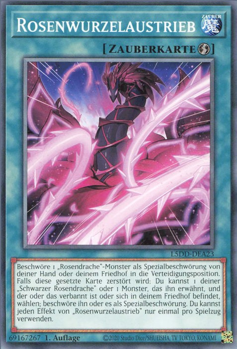 Rosenwurzelaustrieb (V.2) L5DD-DEA23 Common Deutsch