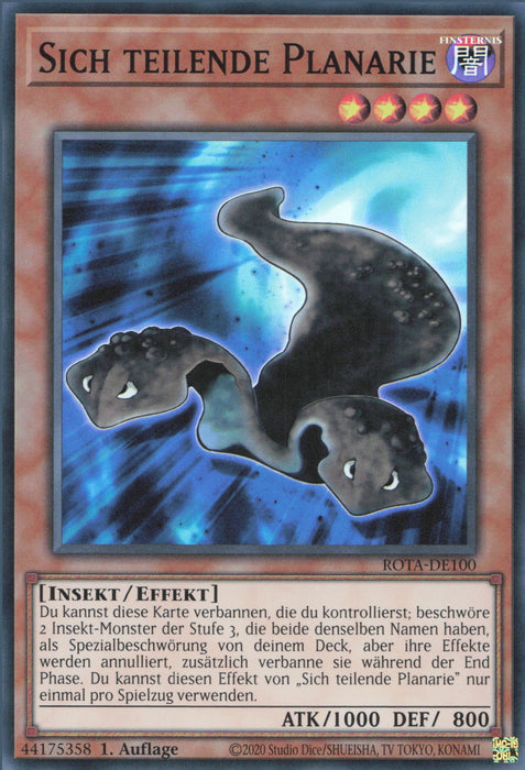 Sich teilende Planarie ROTA-DE100 Super Rare Deutsch