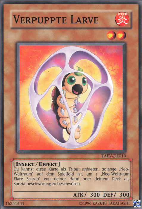 Verpuppte Larve TAEV-DE010 Common