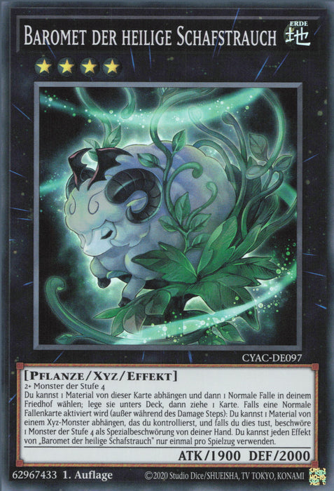 Baromet der heilige Schafstrauch CYAC-DE097 Super Rare
