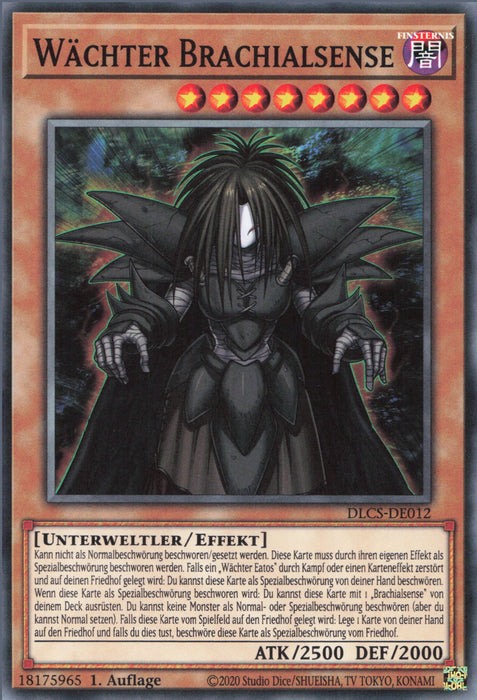 Wächter Brachialsense DLCS-DE012 Common