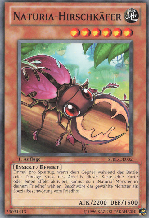 Naturia-Hirschkäfer STBL-DE032 Common