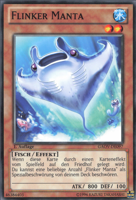 Flinker Manta GAOV-DE097 Common