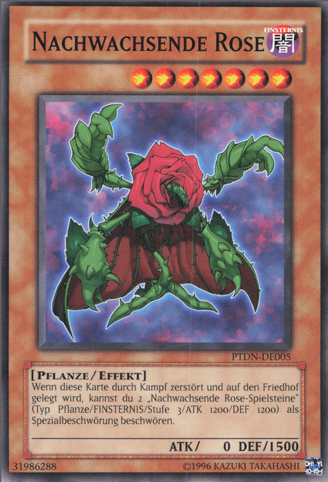 Nachwachsende Rose PTDN-DE005 Common