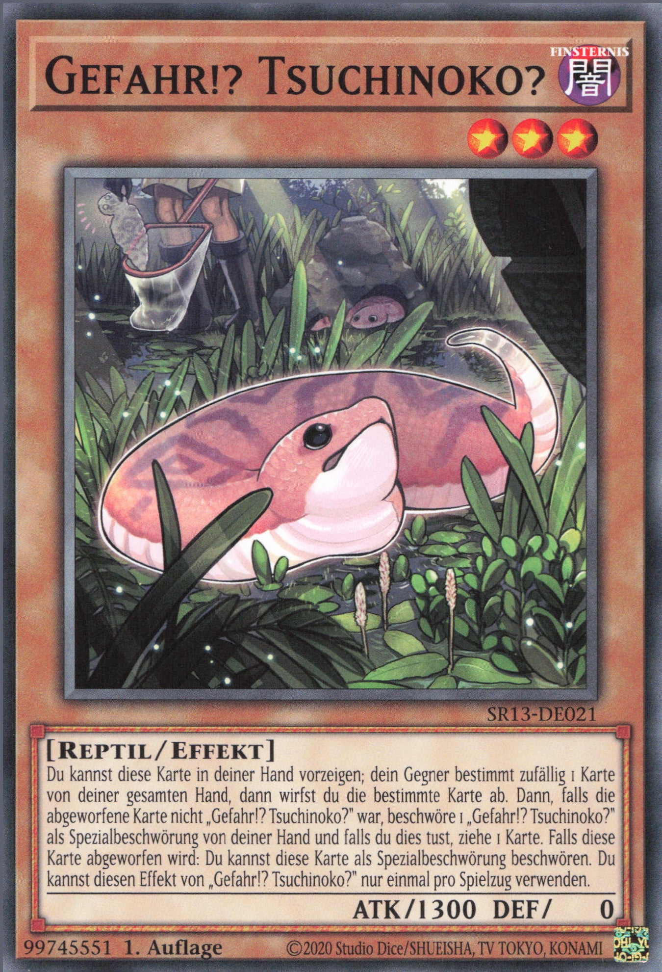 Yu-Gi-Oh! Gefahr!? Tsuchinoko?